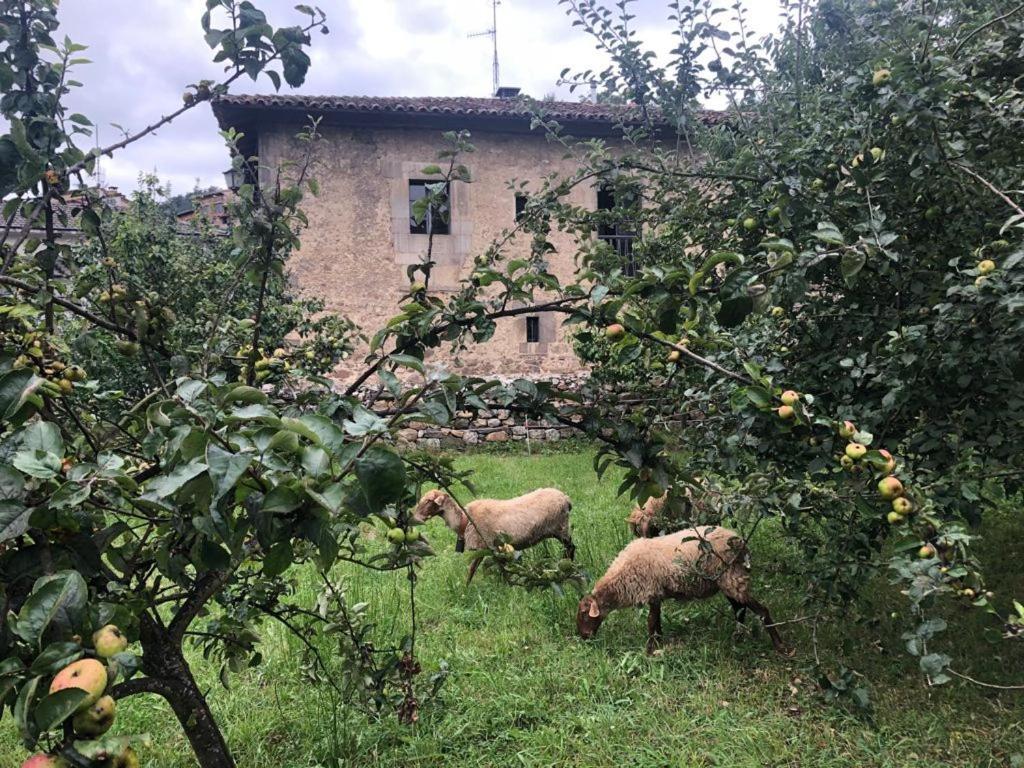 La Casona Del Xerron Villa El Condado Dış mekan fotoğraf